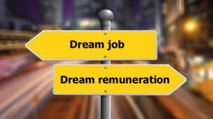 Dream job or dream remuneration: what would you choose? | Platinum People Group
